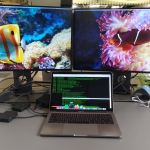 meja kantor dengan dua monitor