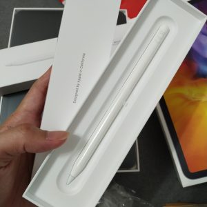 kemasan Apple Pencil 2