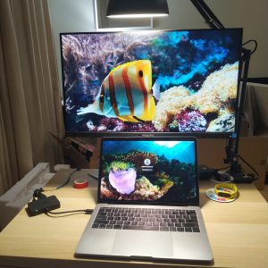 monitor Philips 245B1/00 terpasang di meja