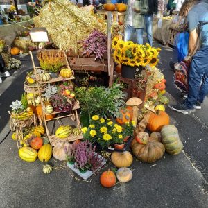 hiasan labu dan bunga di Festival Labu