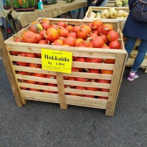 labu Hokkaido di Festival Labu