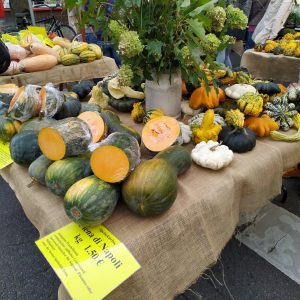 labu Napoli dijual di Festival Labu