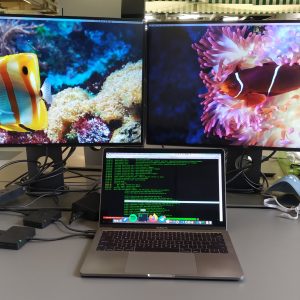 meja kerja di kantor dengan dua buah monitor Dell UltraSharp U2518D