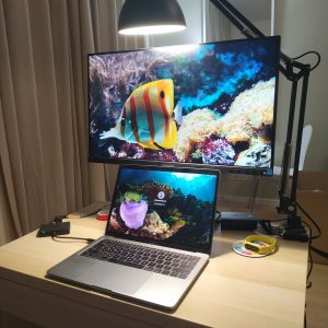 menggunakan monitor Philips 245B1/00