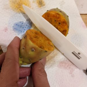 memotong buah kaktus seperti memotong buah naga memotong buah kaktus seperti memotong buah naga