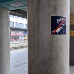 Dilarang Memberi Makan Burung!