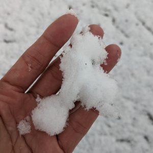 memegang salju memegang salju