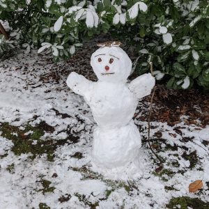 boneka salju buatan tetangga boneka salju buatan tetangga