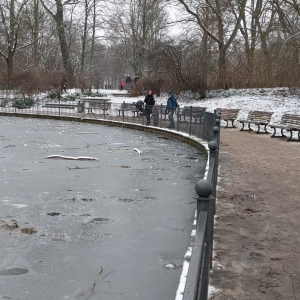 kolam besar di Volkspark Friedrichshain membeku kolam besar di Volkspark Friedrichshain membeku