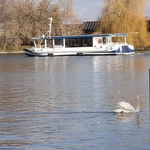 kapal feri F11 menuju dermaga Wilhelmstrand kapal feri F11 menuju dermaga Wilhelmstrand