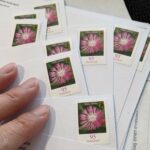 matripost! Proyek Mengirim Kartu Pos