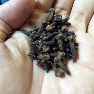 cengkeh kering
