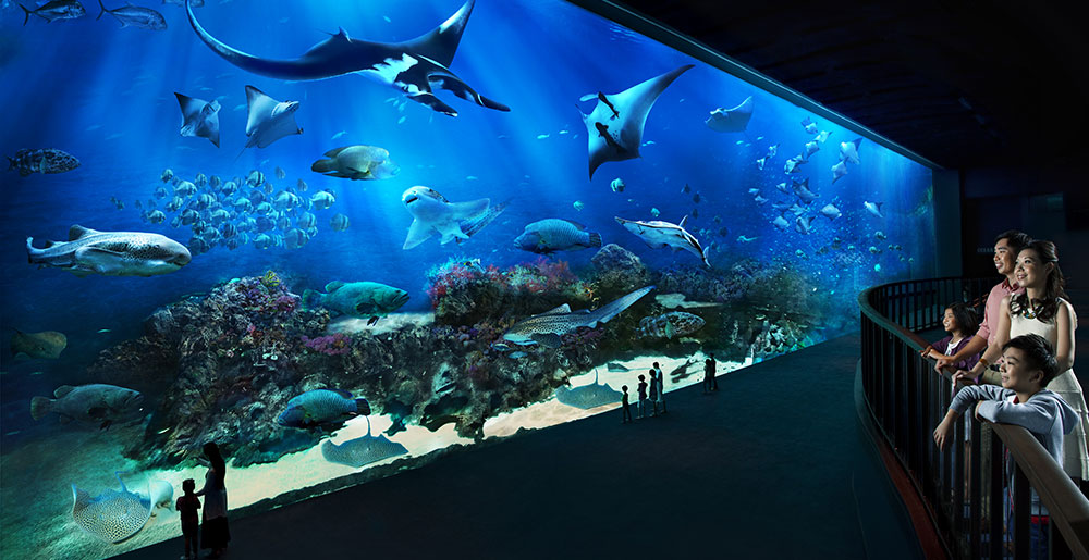 S.E.A. Aquarium. © Resorts World Sentosa